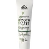 URTEKRAM Nordic Beauty Eucalyptus Toothpaste