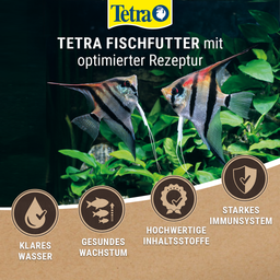 Tetra Malawi Flakes - 1 l