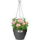 elho vibia campana Hängeampel 26 cm - anthrazit