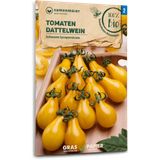 Samen Maier Bio Tomaten "Dattelwein"