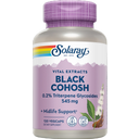 Solaray Traubensilberkerze - Black Cohosh - 120 Kapseln