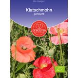 De Bolster Klatschmohn gemischt