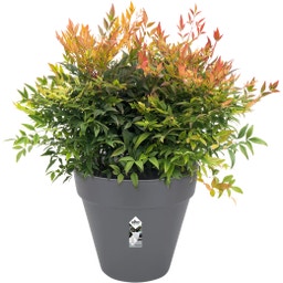 elho loft urban rund rollen 40 - anthrazit