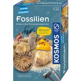 KOSMOS Fossilien - Ausgrabungs-Set