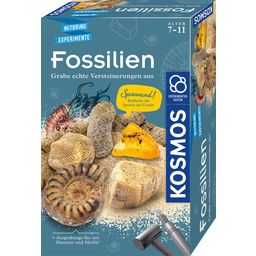 KOSMOS Fossilien - Ausgrabungs-Set - 1 Stk