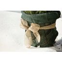 Windhager Jute-Wickelstreifen 10cm x 25m - Natur