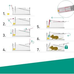 Windhager Drahtkasten-Mausefalle - 1 Stk