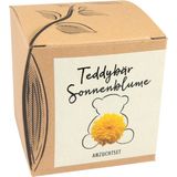 Naturkraftwerk Anzuchtset "Teddybär Sonnenblume"