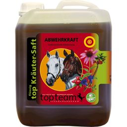 topteam top Abwehrkraft Kräutersaft - 2,50 l