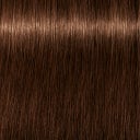 Schwarzkopf Igora Vibrance - 5-57 Light Brown Gold Copper