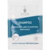 Shampoo Tockene Kopfhaut