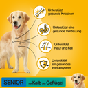 Pedigree Schale Senior mit Kalb und Geflügel