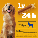 Pedigree Dentastix large Big Pack