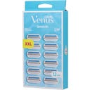 Gillette Venus Smooth Klingen - 12 Stk