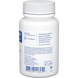 Pure Encapsulations AntiOxidant Formel - 60 Kapseln