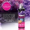 Microbe-Lift Coralline - 473ml