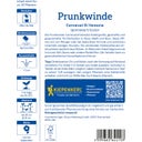 Kiepenkerl Prunkwinde 