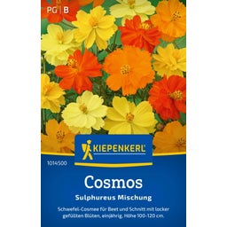 Kiepenkerl Cosmos Sulphureus Mischung - 1 Pkg