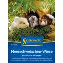 Meerschweinchen-Wiese Grünfutter-Pflanzen - 1 Pkg