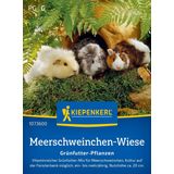 Meerschweinchen-Wiese Grünfutter-Pflanzen