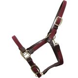 Kentucky Horsewear Nylon-Halfter geflochten bordeaux