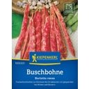 Kiepenkerl Buschbohnen 