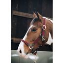 Kentucky Horsewear Nylon-Halfter geflochten bordeaux - VB