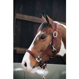 Kentucky Horsewear Nylon-Halfter geflochten bordeaux - VB