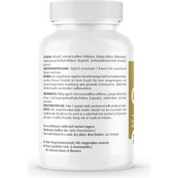 ZeinPharma® Ginkgo 100 mg - 120 Kapseln