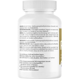 ZeinPharma® Reishi Mono 450 mg - 120 Kapseln