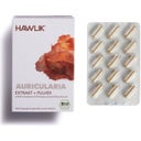 Hawlik Auricularia Extrakt + Pulver Kapseln Bio - 120 Kapseln