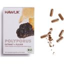 Hawlik Polyporus Extrakt + Pulver Kapseln Bio - 60 Kapseln