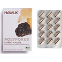 Hawlik Polyporus Extrakt + Pulver Kapseln Bio - 60 Kapseln