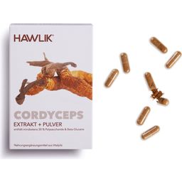 Hawlik Cordyceps Extrakt + Pulver Kapseln - 60 Kapseln