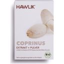 Hawlik Coprinus Extrakt + Pulver Kapseln Bio - 60 Kapseln