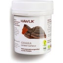 Hawlik Chaga Extrakt Kapseln, Bio - 60 Kapseln