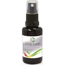 SanaCare Wilde Karde Volltinktur - 30 ml