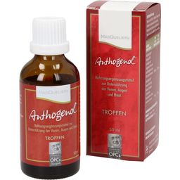 Original Masqueliers Anthogenol OPC Tropfen - 50 ml