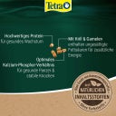 Tetra ReptoMin Energy - 100ml