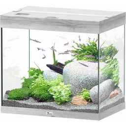 Aquatlantis Splendid Ultra 110 Esche Weiß Aquarium - 1 Stk