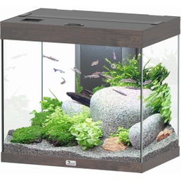 Splendid Ultra 110 Wildeiche Dunkel Aquarium - 1 Stk