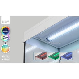 Aquatlantis Splendid Ultra 145 Esche Weiß Aquarium - 1 Set