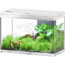 Aquatlantis Splendid Ultra 145 Esche Weiß Aquarium - 1 Set