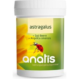 anatis Naturprodukte Astragalus - 90 Kapseln
