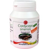SanaCare Cordyceps sinensis