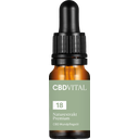 CBD Naturextrakt Premium 18 % Bio - 10 ml