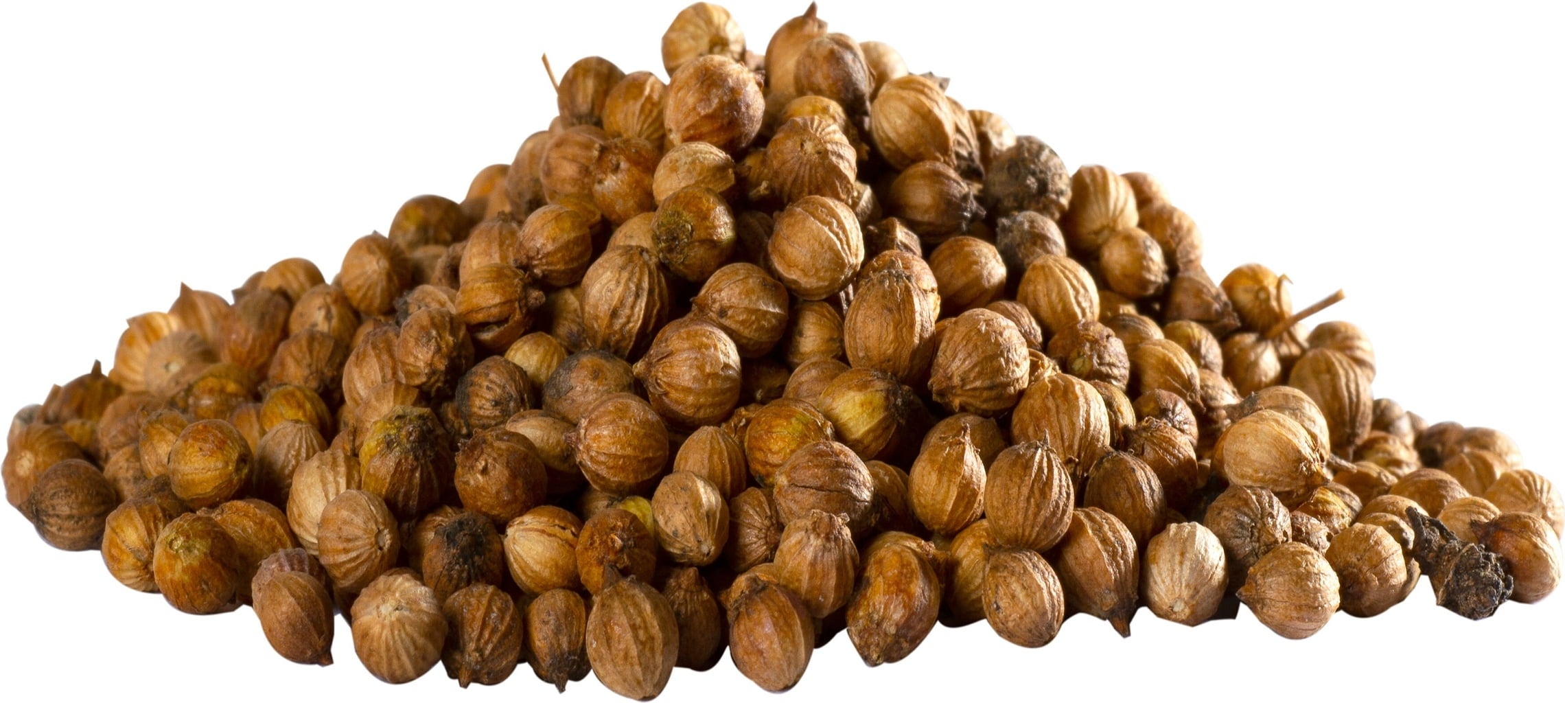 Herbaria Koriander ganz bio - 40 g