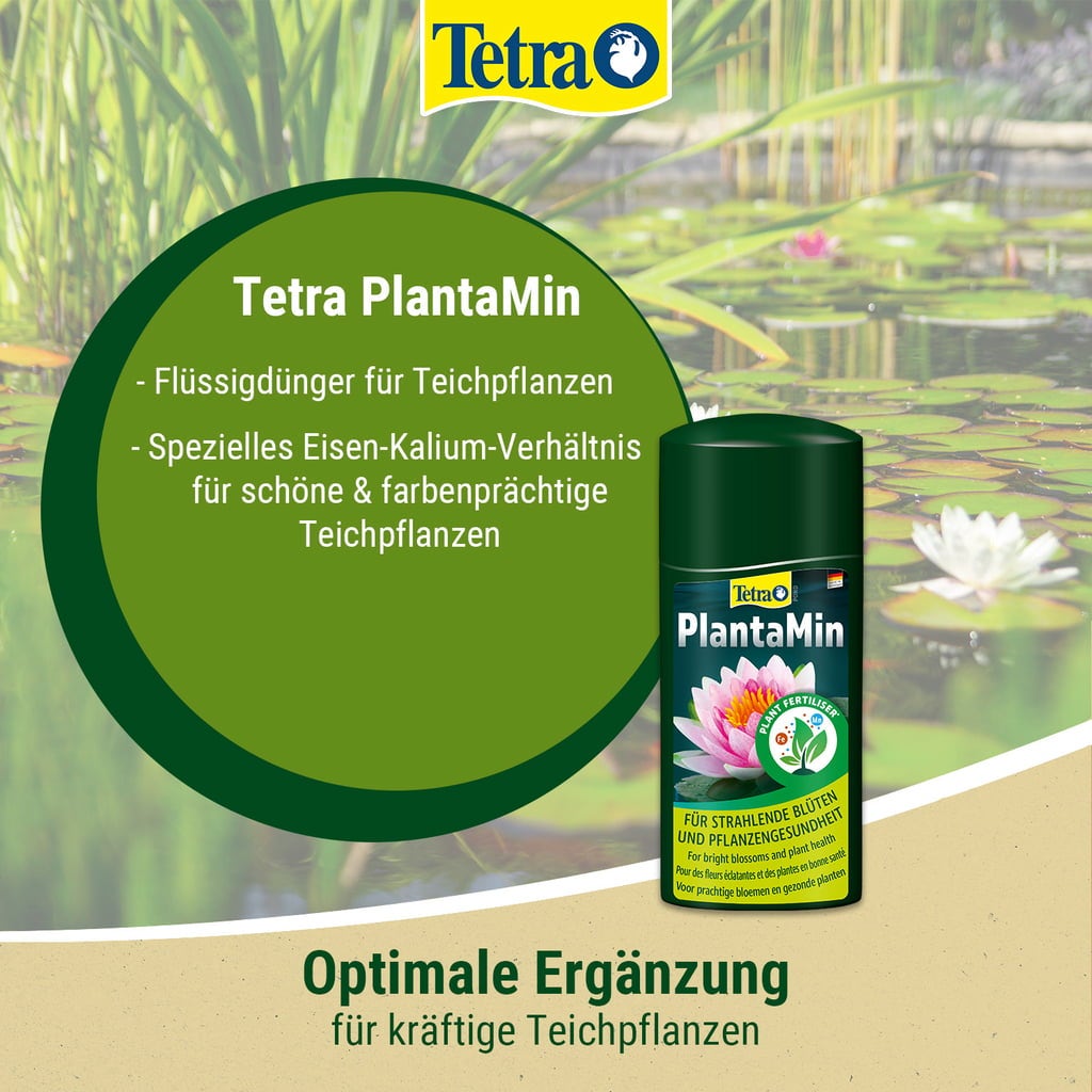 Tetra Pond Torf&Stroh Extrakt - 250 ml