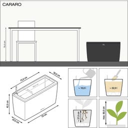 Lechuza Pflanzgefäß CARARO Premium