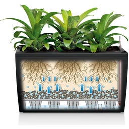 Lechuza Pflanzgefäß CARARO Premium